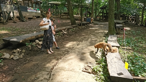 29���E�����L�c�l�����x���W�����I